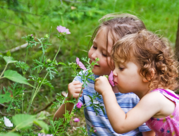 嗅到浅紫色的花的两个小女孩外面。