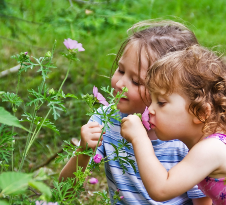 两个小女孩在外面闻着淡紫色的花。